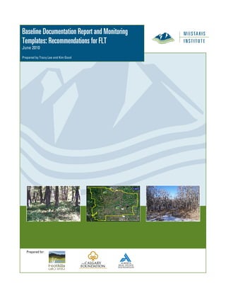 Baseline Documentation Report and Monitoring
Templates: Recommendations for FLT
June 2010

Prepared by Tracy Lee and Kim Good




   Prepared for:
 