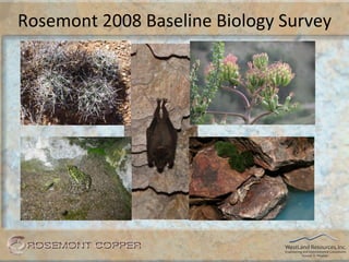 Rosemont	
  2008	
  Baseline	
  Biology	
  Survey	
  
 