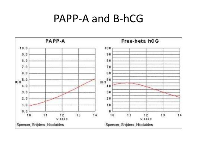 baseline-serum-chemistry-in-1st-trimester-22-638.jpg?cb=1390815039