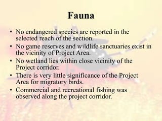 Fauna
• No endangered species are reported in the
selected reach of the section.
• No game reserves and wildlife sanctuaries exist in
the vicinity of Project Area.
• No wetland lies within close vicinity of the
Project corridor.
• There is very little significance of the Project
Area for migratory birds.
• Commercial and recreational fishing was
observed along the project corridor.
 