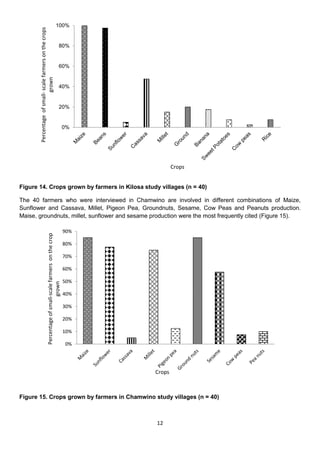 100%


       Percentage of small- scale farmers on the crops              80%


                                                                    60%
                           grown




                                                                    40%


                                                                    20%


                                                                              0%




                                                                                            Crops


Figure 14. Crops grown by farmers in Kilosa study villages (n = 40)

The 40 farmers who were interviewed in Chamwino are involved in different combinations of Maize,
Sunflower and Cassava, Millet, Pigeon Pea, Groundnuts, Sesame, Cow Peas and Peanuts production.
Maise, groundnuts, millet, sunflower and sesame production were the most frequently cited (Figure 15).

                                                                              90%
                              Percentage of small-scale farmers on the crop




                                                                              80%

                                                                              70%

                                                                              60%

                                                                              50%
                                                 grown




                                                                              40%

                                                                              30%

                                                                              20%

                                                                              10%

                                                                              0%




                                                                                    Crops



Figure 15. Crops grown by farmers in Chamwino study villages (n = 40)



                                                                                    12
 