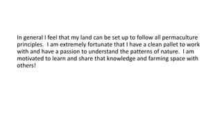 In general I feel that my land can be set up to follow all permaculture
principles. I am extremely fortunate that I have a clean pallet to work
with and have a passion to understand the patterns of nature. I am
motivated to learn and share that knowledge and farming space with
others!
 