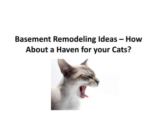 Basement Remodeling Ideas – How
  About a Haven for your Cats?
 