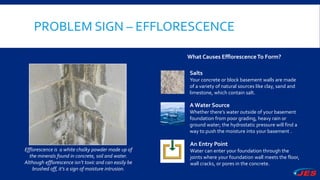 PROBLEM SIGN – EFFLORESCENCE
What Causes EfflorescenceTo Form?
Salts
Your concrete or block basement walls are made
of a variety of natural sources like clay, sand and
limestone, which contain salt.
A Water Source
Whether there’s water outside of your basement
foundation from poor grading, heavy rain or
ground water; the hydrostatic pressure will find a
way to push the moisture into your basement .
An Entry Point
Water can enter your foundation through the
joints where your foundation wall meets the floor,
wall cracks, or pores in the concrete.
Efflorescence is a white chalky powder made up of
the minerals found in concrete, soil and water.
Although efflorescence isn’t toxic and can easily be
brushed off, it’s a sign of moisture intrusion.
 