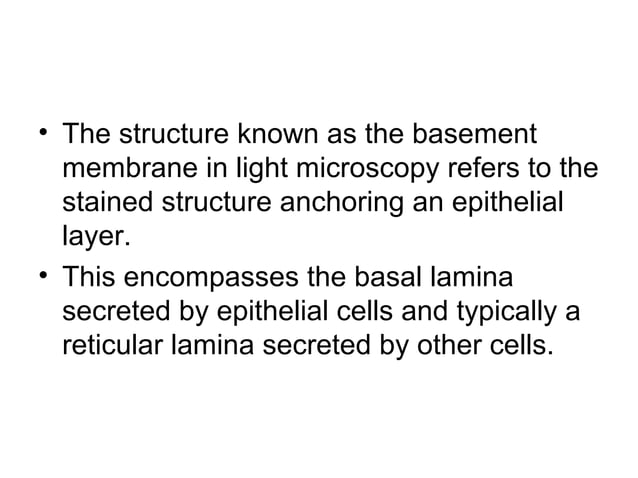 Basement membrane | PPT