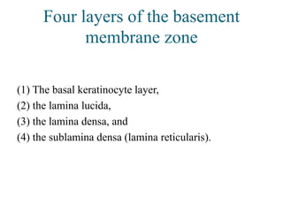 Basement membrane integrity in oral cancer repair | PPTX