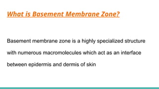 Comprehensive Overview of the Basement Membrane Zone in Dermatology | PPTX
