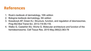 Comprehensive Overview of the Basement Membrane Zone in Dermatology | PPTX
