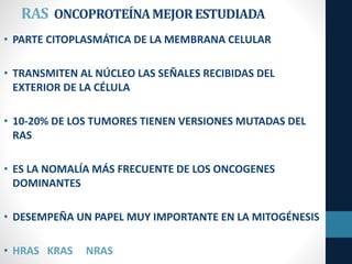 RAS ONCOPROTEÍNAMEJORESTUDIADA
• PARTE CITOPLASMÁTICA DE LA MEMBRANA CELULAR
• TRANSMITEN AL NÚCLEO LAS SEÑALES RECIBIDAS DEL
EXTERIOR DE LA CÉLULA
• 10-20% DE LOS TUMORES TIENEN VERSIONES MUTADAS DEL
RAS
• ES LA NOMALÍA MÁS FRECUENTE DE LOS ONCOGENES
DOMINANTES
• DESEMPEÑA UN PAPEL MUY IMPORTANTE EN LA MITOGÉNESIS
• HRAS KRAS NRAS
 