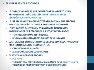 • ES INTERESANTE RECORDAR
• LA CAPACIDAD DEL P53 DE CONTROLAR LA APOPTOSIS EN
RESPUESTA AL DAÑO DEL DNA TIENE IMPLICACIONES
TERAPÉUTICAS IMPORTANTES
• LA IRRADIACIÓN Y LA QUIMIOTERAPIA MEDIAN SUS EFECTOS
INDUCIENDO DAÑO DEL DNA Y POSTERIOR APOPTOSIS
• LOS TUMORES QUE TIENEN P53 NORMAL TIENEN MÁS
POSIBILIDADES DE RESPONDER A ESTOS TRATAMIENTOS
• TERATOCARCINOMAS TESTICULARES
• LEUCEMIAS LINFOBLÁSTICAS AGUDAS DE LA INFANCIA
• LOS TUMORES CON MUTACIONES DEL P53 SON RELATIVAMENTE
RESISTENTES A ESTOS TRATAMIENTOS
• CARCINOMAS DE PULMÓN
• ADENOCARCINOMAS COLORECTALES
• EL P53 TIENE COLABORADORES
• P63 Y P73
• TUMORES CON PERTURBACIÓN SIMULTÁNEA DE LA RED P 53-63-73
TIENEN PEOR PRONÓSTICO Y SON QUIMIORESISTENTES
 