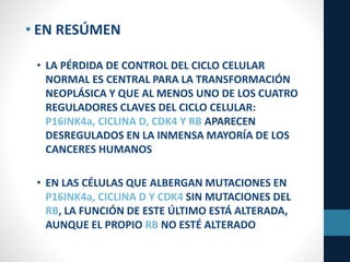 • EN RESÚMEN
• LA PÉRDIDA DE CONTROL DEL CICLO CELULAR
NORMAL ES CENTRAL PARA LA TRANSFORMACIÓN
NEOPLÁSICA Y QUE AL MENOS UNO DE LOS CUATRO
REGULADORES CLAVES DEL CICLO CELULAR:
P16INK4a, CICLINA D, CDK4 Y RB APARECEN
DESREGULADOS EN LA INMENSA MAYORÍA DE LOS
CANCERES HUMANOS
• EN LAS CÉLULAS QUE ALBERGAN MUTACIONES EN
P16INK4a, CICLINA D Y CDK4 SIN MUTACIONES DEL
RB, LA FUNCIÓN DE ESTE ÚLTIMO ESTÁ ALTERADA,
AUNQUE EL PROPIO RB NO ESTÉ ALTERADO
 