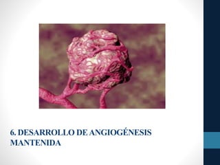 6. DESARROLLO DEANGIOGÉNESIS
MANTENIDA
 