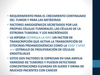 • REQUERIMIENTO PARA EL CRECIMIENTO CONTINUADO
DEL TUMOR Y PARA LAS METÁSTASIS
• FACTORES ANGIOGÉNICOS SECRETADOS POR LAS
PROPIAS CÉLULAS TUMORALES, LAS CÉLULAS DE LA
ESTROMA TUMORAL Y LOS MACRÓFAGOS
• LA HIPOXIA ESTIMULA LA HIF1 UN FACTOR DE
TRANSCRIPCIÓN QUE ACTIVA LA TRANSCRIPCIÓN DE
CITOCINAS PROANGIOGÉNICAS COMO LA VEGF Y bFGF
>>> ESTÍMULO DE PROLIFERACIÓN DE CÉLULAS
ENDOTELIALES
• ESTOS DOS FACTORES SE EXPRESAN EN UNA AMPLIA
VARIEDAD DE TUMORES Y PUEDEN DETECTARSE
CONCENTRACIONES ELEVADAS EN SUERO Y ORINA DE
MUCHOS PACIENTES CON CANCER
 