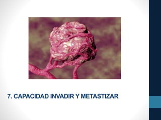 7. CAPACIDAD INVADIR Y METASTIZAR
 