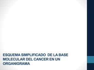 ESQUEMA SIMPLIFICADO DE LA BASE
MOLECULAR DEL CANCER EN UN
ORGANIGRAMA
 
