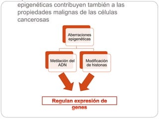 epigenéticas contribuyen también a las
propiedades malignas de las células
cancerosas
Aberraciones
epigenéticas
Metilación del
ADN
Modificación
de histonas
 