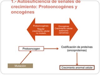 1.- Autosuficiencia de señales de
crecimiento: Protooncogénes y
oncogénes
Protooncogénes:
Regular
crecimiento celular
no mutado
Oncogénes
Crecimiento celular
autónomo
canceroso
Protooncogen
Mutación
Codificación de proteínas
(oncoproteínas)
Crecimiento anormal celular
 