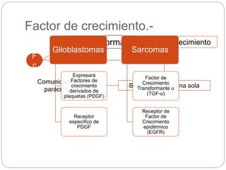 Factor de crecimiento.-
Célula normal
F
c
Crecimiento
Sintetizados por una sola
célula
Comunicación
parácrina
Glioblastomas
Expresará
Factores de
crecimiento
derivados de
plaquetas (PDGF)
Receptor
específico de
PDGF
Sarcomas
Factor de
Crecimiento
Transformante α
(TGF-α)
Receptor de
Factor de
Crecimiento
epidérmico
(EGFR)
 