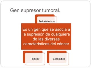 Gen supresor tumoral.
Retinoblastoma
(RB)
Hipótesis de la
oncogénia en
dos golpes
Familiar Esporádico
Es un gen que se asocia a
la supresión de cualquiera
de las diversas
características del cáncer
 