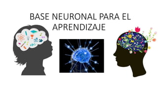 BASE NEURONAL PARA EL
APRENDIZAJE
 