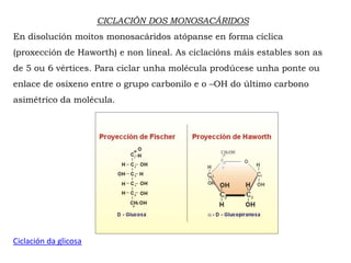 CICLACIÓN DOS MONOSACÁRIDOS
En disolución moitos monosacáridos atópanse en forma cíclica
(proxección de Haworth) e non lineal. As ciclacións máis estables son as
de 5 ou 6 vértices. Para ciclar unha molécula prodúcese unha ponte ou
enlace de osíxeno entre o grupo carbonilo e o –OH do último carbono
asimétrico da molécula.
Ciclación da glicosa
 