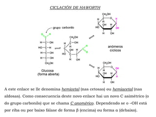 CICLACIÓN DE HAWORTH
A este enlace se lle denomina hemicetal (nas cetosas) ou hemiacetal (nas
aldosas). Como consecuencia deste novo enlace hai un novo C asimétrico (o
do grupo carbonilo) que se chama C anomérico. Dependendo se o –OH está
por riba ou por baixo fálase de forma β (encima) ou forma α (debaixo).
 