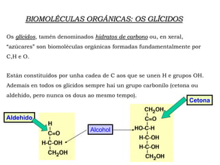 BIOMOLÉCULAS ORGÁNICAS: OS GLÍCIDOS
Os glícidos, tamén denominados hidratos de carbono ou, en xeral,
“azúcares” son biomoléculas orgánicas formadas fundamentalmente por
C,H e O.
Están constituídos por unha cadea de C aos que se unen H e grupos OH.
Ademais en todos os glícidos sempre hai un grupo carbonilo (cetona ou
aldehído, pero nunca os dous ao mesmo tempo).
Aldehido
Cetona
Alcohol
 