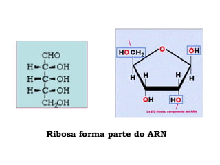 Ribosa forma parte do ARN
 