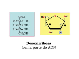 Desoxirribosa
forma parte do ADN
 