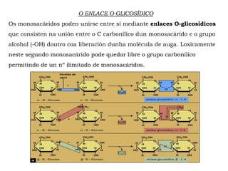 O ENLACE O-GLICOSÍDICO
Os monosacáridos poden unirse entre sí mediante enlaces O-glicosídicos
que consisten na unión entre o C carbonílico dun monosacárido e o grupo
alcohol (-OH) doutro coa liberación dunha molécula de auga. Loxicamente
neste segundo monosacárido pode quedar libre o grupo carbonílico
permitindo de un nº ilimitado de monosacáridos.
 