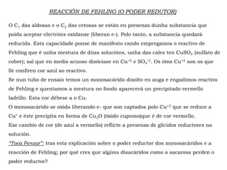 REACCIÓN DE FEHLING (O PODER REDUTOR)
O C1 das aldosas e o C2 das cetosas se están en presenza dunha substancia que
poida aceptar electróns oxídanse (liberan e-). Polo tanto, a substancia quedará
reducida. Esta capacidade ponse de manifesto cando empregamos o reactivo de
Fehling que é unha mestura de dúas solucións, unha das cales ten CuSO4 (sulfato de
cobre); sal que en medio acuoso disóciase en Cu+2 e SO4
-2. Os ións Cu+2 son os que
lle confiren cor azul ao reactivo.
Se nun tubo de ensaio temos un monosacárido disolto en auga e engadimos reactivo
de Fehling e quentamos a mestura no fondo aparecerá un precipitado vermello
ladrillo. Esta cor débese a o Cu.
O monosacárido se oxida liberando e- que son captados polo Cu+2 que se reduce a
Cu+ e éste precipita en forma de Cu2O (óxido cuproso)que é de cor vermello.
Ese cambio de cor (de azul a vermello) reflicte a presenza de glícidos reductores na
solución.
“Toca Pensar”: tras esta explicación sobre o poder reductor dos monosacáridos e a
reacción de Fehling; por qué cres que algúns disacáridos como a sacarosa perden o
poder reductor?
 