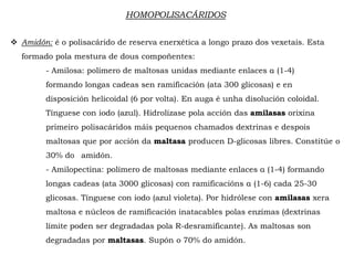 HOMOPOLISACÁRIDOS
 Amidón: é o polisacárido de reserva enerxética a longo prazo dos vexetais. Esta
formado pola mestura de dous compoñentes:
- Amilosa: polímero de maltosas unidas mediante enlaces α (1-4)
formando longas cadeas sen ramificación (ata 300 glicosas) e en
disposición helicoidal (6 por volta). En auga é unha disolución coloidal.
Tínguese con iodo (azul). Hidrolízase pola acción das amilasas orixina
primeiro polisacáridos máis pequenos chamados dextrinas e despois
maltosas que por acción da maltasa producen D-glicosas libres. Constitúe o
30% do amidón.
- Amilopectina: polímero de maltosas mediante enlaces α (1-4) formando
longas cadeas (ata 3000 glicosas) con ramificacións α (1-6) cada 25-30
glicosas. Tínguese con iodo (azul violeta). Por hidrólese con amilasas xera
maltosa e núcleos de ramificación inatacables polas enzimas (dextrinas
límite poden ser degradadas pola R-desramificante). As maltosas son
degradadas por maltasas. Supón o 70% do amidón.
 