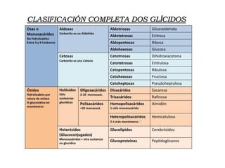 CLASIFICACIÓN COMPLETA DOS GLÍCIDOS
 