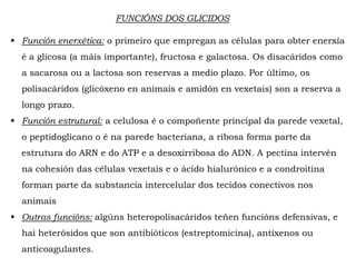 FUNCIÓNS DOS GLICIDOS
 Función enerxética: o primeiro que empregan as células para obter enerxía
é a glicosa (a máis importante), fructosa e galactosa. Os disacáridos como
a sacarosa ou a lactosa son reservas a medio plazo. Por último, os
polisacáridos (glicóxeno en animais e amidón en vexetais) son a reserva a
longo prazo.
 Función estrutural: a celulosa é o compoñente principal da parede vexetal,
o peptidoglicano o é na parede bacteriana, a ribosa forma parte da
estrutura do ARN e do ATP e a desoxirribosa do ADN. A pectina intervén
na cohesión das células vexetais e o ácido hialurónico e a condroitina
forman parte da substancia intercelular dos tecidos conectivos nos
animais
 Outras funcións: algúns heteropolisacáridos teñen funcións defensivas, e
hai heterósidos que son antibióticos (estreptomicina), antíxenos ou
anticoagulantes.
 