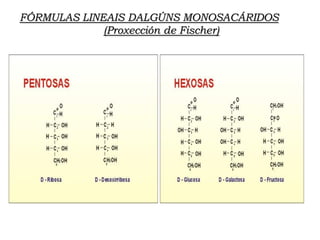 FÓRMULAS LINEAIS DALGÚNS MONOSACÁRIDOS
(Proxección de Fischer)
 