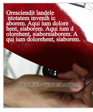 Oresciendit landele
 ntotatem invenih ic
aborem. Aqui ium dolore
hent, siaborem. Aqui ium d
olorehent, siaborsiaborem. A
qui ium dolorehent, siaborem.




     BUSAEUM SUNT ET AUTE
 