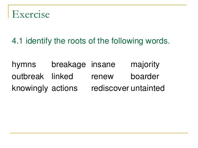 base-root-and-stem