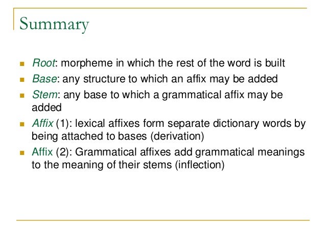 meaning vice versa root Base and stem meaning vice versa root Base and stem