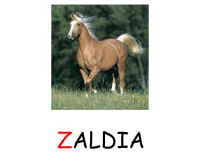 ZALDIA
 