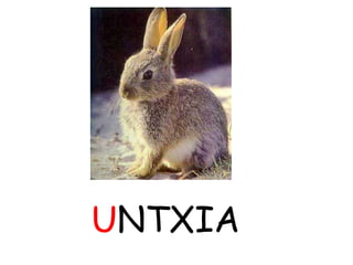 UNTXIA
 