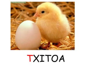 TXITOA
 