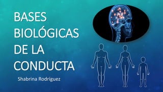 BASES
BIOLÓGICAS
DE LA
CONDUCTA
Shabrina Rodríguez
 