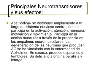 Principales Neurotransmisores y sus efectos: Acetilcolina- se distribuye ampliamente a lo largo del sistema nervioso central, donde participa en la activación, atención, memoria, motivación y movimiento. Participa en la acción muscular a través de la presencia en los empalmes neuromusculares. La degeneración de las neuronas que producen AC se ha vinculado con la enfermedad de Alzheimer. En exceso, produce espasmos y temblores. Su deficiencia origina paralisis y letargo. 