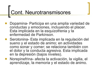 Cont. Neurotransmisores Dopamina- Participa en una amplia variedad de conductas y emociones, incluyendo el placer. Esta implicada en la esquizofrenia y la enfermedad de Parkinson. Serotonina- Esta implicada en la regulación del sueno y el estado de animo; en actividades como sonar y comer; se relaciona también con el dolor y la conducta agresiva. Esta implicada en la depresión (bajos niveles). Norepinefrina- afecta la activación, la vigilia, el aprendizaje, la memoria y el estado de animo. 