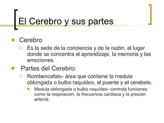 El Cerebro y sus partes Cerebro Es la sede de la conciencia y de la razón, el lugar donde se concentra el aprendizaje, la memoria y las emociones. Partes del Cerebro: Rombencefalo- área que contiene la medula oblongada o bulbo raquídeo, el puente y el cerebelo. Medula oblongada o bulbo raquídeo- controla funciones como la respiración, la frecuencia cardiaca y la presión arterial. 