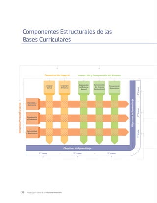 36 Bases Curriculares de la Educación Parvularia
Componentes Estructurales de las
Bases Curriculares
Objetivos de Aprendizaje
Corporalidad
y Movimiento
Convivencia
y Ciudadanía
Identidad y
Autonomía
Lenguaje
Verbal
Lenguajes
Artísticos
Exploración
del Entorno
Natural
Comprensión
del Entorno
Sociocultural
Pensamiento
Matemático
Desarrollo
Personal
y
Social
Interacción y Comprensión del Entorno
Comunicación Integral
Objetivos
de
Aprendizaje
1er
tramo 2do
tramo 3er
tramo
- -
1
er
tramo
2
do
tramo
3
er
tramo
-
-
 