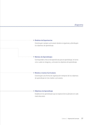 37
Capítulo 2 / Organización Curricular
diagrama
Núcleos de Aprendizajes
Corresponden a focos de experiencias para el aprendizaje, en torno
a los cuales se integran y articulan los objetivos de aprendizaje.
Ámbitos de Experiencias
Constituyen campos curriculares donde se organizan y distribuyen
los objetivos de aprendizaje.
Niveles o tramos Curriculares
Constituyen una forma de organización temporal de los objetivos
de aprendizaje en tres niveles curriculares.
Objetivos de Aprendizaje
Establecen los aprendizajes que se esperan de los párvulos en cada
nivel educativo.
 