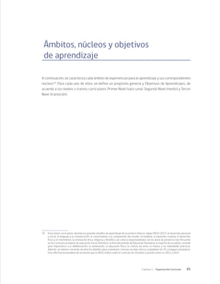 45
Capítulo 2 / Organización Curricular
Ámbitos, núcleos y objetivos
de aprendizaje
A continuación, se caracteriza cada ámbito de experiencias para el aprendizaje y sus correspondientes
núcleos19
. Para cada uno de ellos, se define un propósito general y Objetivos de Aprendizajes, de
acuerdo a los niveles o tramos curriculares: Primer Nivel (sala cuna), Segundo Nivel (medio) y Tercer
Nivel (transición).
19	 Estas bases curriculares, abordan los grandes desafíos de aprendizaje de la primera infancia. Según OECD (2017), el desarrollo personal
y social, el lenguaje y la comunicación, el conocimiento y la comprensión del mundo circundante, la expresión creativa, el desarrollo
físico y el movimiento, la orientación ética, religiosa y filosófica, así como la responsabilidad, son las áreas de presencia más frecuente
en los currículos europeos de educación inicial. Asimismo, al final del período de Educación Parvularia, la mayoría de los países concede
gran importancia a la alfabetización, la numeración, la educación física, la ciencia, las artes, la música y las habilidades prácticas.
Además, un número creciente de ellos ha añadido salud y bienestar, ciencias sociales, ética y ciudadanía, las TIC y lenguas extranjeras.
Esta información proviene de la revisión que la OECD realizó sobre el currículo de 24 países y jurisdicciones en 2011 y 2015.
 