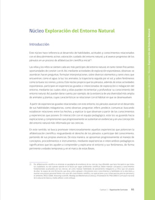 81
Capítulo 2 / Organización Curricular
Núcleo Exploración del Entorno Natural
Introducción
Este núcleo hace referencia al desarrollo de habilidades, actitudes y conocimientos relacionados
con el descubrimiento activo, valoración, cuidado del entorno natural, y al avance progresivo de los
párvulos en un proceso de alfabetización científica inicial21
.
Las niñas y los niños se sienten cada vez más partícipes del entorno natural, en tanto tienen frecuentes
oportunidades de convivir con él. Así, mediante actividades de exploración espontáneas, observan, se
asombran, hacen preguntas, formulan interpretaciones, sobre diversos elementos y seres vivos que
encuentran, como el agua, la luz, los animales, la trayectoria seguida por el sol; y sobre fenómenos
como la lluvia, los sismos, y otros. Este núcleo propicia que los párvulos, además de estas actividades
espontáneas, participen en experiencias guiadas e intencionadas de exploración e indagación del
entorno, mediante las cuales ellos y ellas pueden incrementar y profundizar su conocimiento del
entorno natural. Así, puedan darse cuenta, por ejemplo, de la existencia de una diversidad más amplia
de animales y plantas, cuyas características se relacionan con el hábitat en que se desenvuelven.
A partir de experiencias guiadas relacionadas con este entorno, los párvulos avanzan en el desarrollo
de sus habilidades indagatorias, como observar, preguntar, inferir, predecir, comunicar, buscando
establecer relaciones entre los hechos, y explicar lo que observan a partir de los conocimientos
y experiencias que poseen. En interacción con el equipo pedagógico, este los va guiando hacia
explicaciones y comprensiones que progresivamente se sustentan en evidencias y en una concepción
del entorno natural más informada por las ciencias.
En este sentido, se busca promover intencionadamente aquellas experiencias que potencien la
alfabetización científica, resguardando el derecho de los párvulos a participar del conocimiento,
partiendo de sus propias vivencias. De esta manera, se aproximan progresivamente al manejo de
conceptos, procedimientos e instrumentos, mediante experiencias e intercambios pedagógicos
significativos que les ayuden a comprender y explicarse el entorno y sus fenómenos, de forma
pertinente a edades tempranas y, en el marco de estas Bases.
21	 Por alfabetización científica se entiende un paradigma de enseñanza de las ciencias, muy difundido, que hace hincapié en que todos
los ciudadanos, no solo quienes optarán en el futuro por seguir profesiones científicas, deben manejar conceptos y conocimientos
fundamentales acumulados por las ciencias, así como manejar habilidades de pensamiento indagatorio y crítico que son propias
de ellas. Se espera de esta formación, que ellas y ellos apliquen críticamente estos conocimientos y habilidades en la vida diaria, y
asuman una postura personal frente a los usos del conocimiento científico, sus aplicaciones y sus consecuencias para las personas y
el ambiente. OECD. (2006). Assessing scientific, Reading and Mathematical Literacy. A Framework for PISA 2006. El currículum nacional
de la educación básica y media adhiere a este enfoque.
Interacción
y
Comprensión
del
Entorno
/
Núcleo
Exploración
del
Entorno
Natural
 