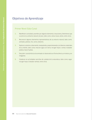 84 Bases Curriculares de la Educación Parvularia
Objetivos de Aprendizaje
Primer Nivel (Sala Cuna)
1.	 Manifestar curiosidad y asombro por algunos elementos, situaciones y fenómenos que
ocurren en su entorno natural cercano, tales como: arena, lluvia, viento, entre otros.
2.	 Reconocer algunos elementos representativos de su entorno natural, tales como:
animales, plantas, ríos, cerros, desierto.
3.	 Explorar su entorno, observando, manipulando y experimentando con diversos materiales
de su interés, tales como: mezclar agua con tierra, recoger hojas o ramas, trasladar
piedras, hacer huellas.
4.	 Descubrir características de animales al observarlos en forma directa, en textos y en
imágenes.
5.	 Colaborar en actividades sencillas de cuidado de la naturaleza, tales como: regar,
recoger hojas, trasladar ramitas, entre otras.
Interacción
y
Comprensión
del
Entorno
/
Núcleo
Exploración
del
Entorno
Natural
 